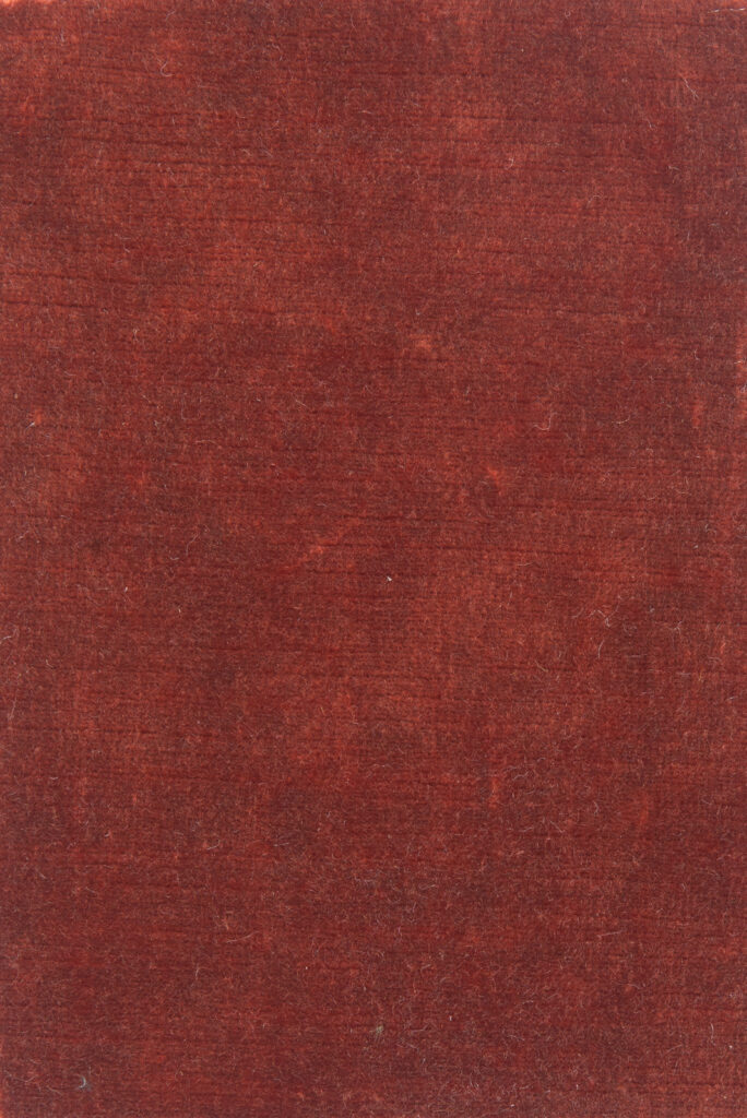 Selena Burnt Orange